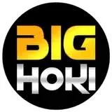 bighoki APK MMORPG